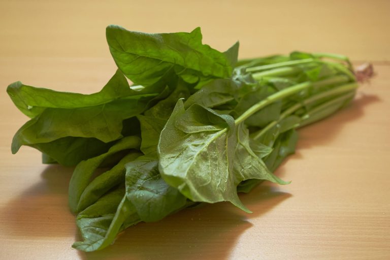 Japanese Spinach – Simply Fresh Organic Farms