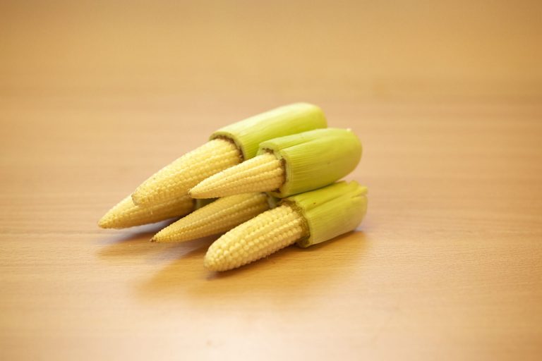 Baby Corn Simply Fresh Organic Farms